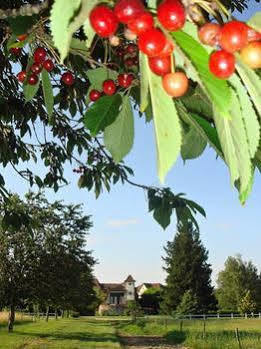 Domaine De Borie Chambres D'Hotes Bretenoux Eksteriør billede